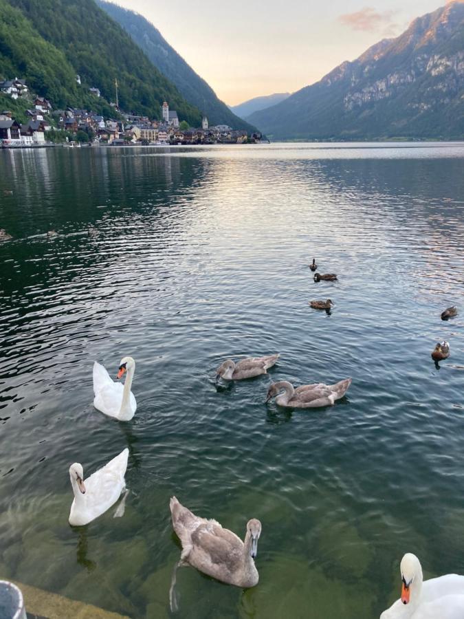 Hallstatt Lakeside Top 4 - Zimmer Mit Balkon מראה חיצוני תמונה